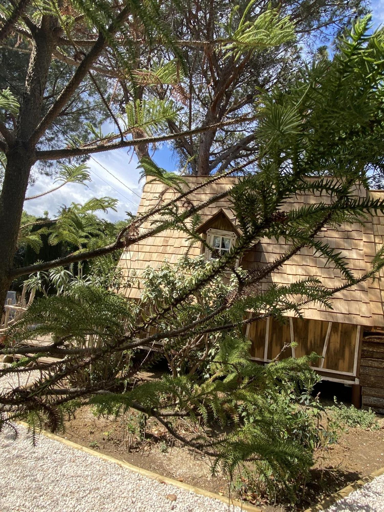 Mas Del Flor Bed and Breakfast Villelongue-dels-Monts Δωμάτιο φωτογραφία