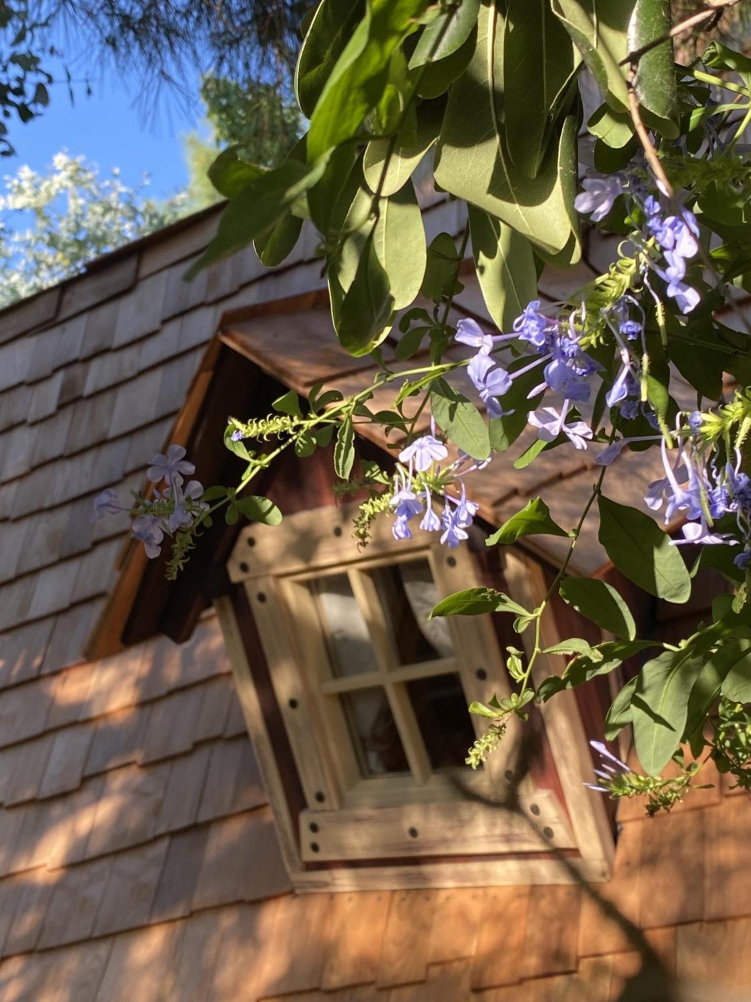 Mas Del Flor Bed and Breakfast Villelongue-dels-Monts Δωμάτιο φωτογραφία