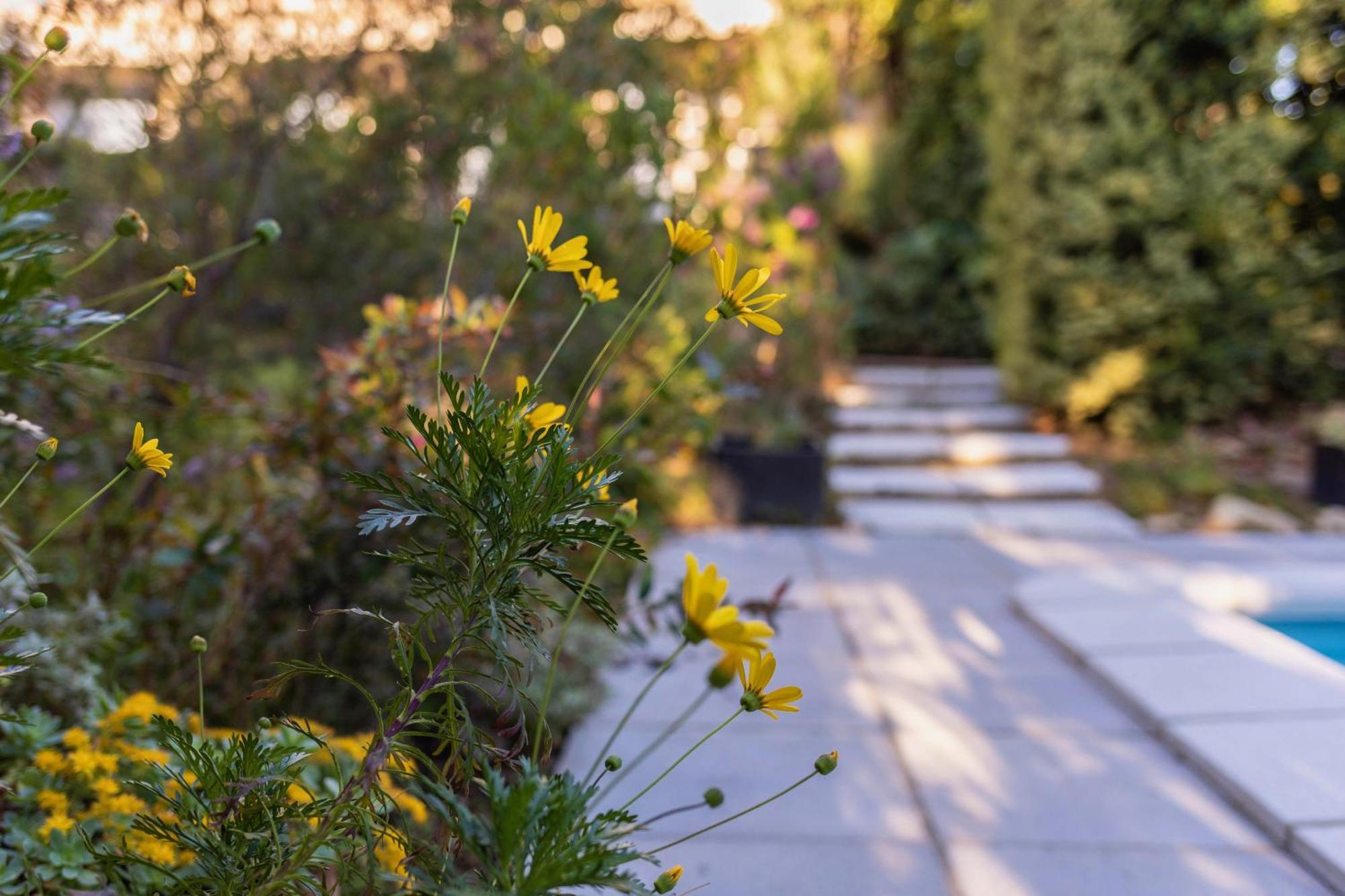 Mas Del Flor Bed and Breakfast Villelongue-dels-Monts Εξωτερικό φωτογραφία